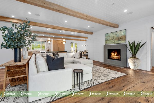 imagtor photo editing premium living room fire placement