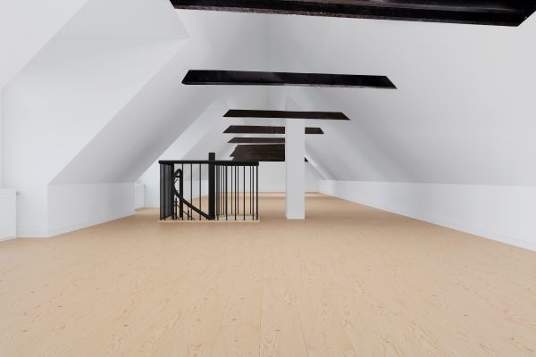 imagtor virtual renovation wall and ceiling