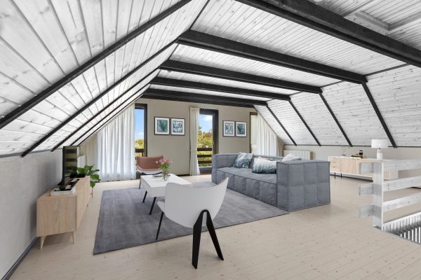 imagtor virtual renovation ceiling and interior