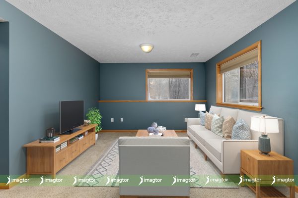 imagtor virtual staging dark living room