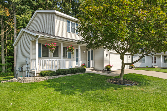 Standard Lenses for Natural Perspective