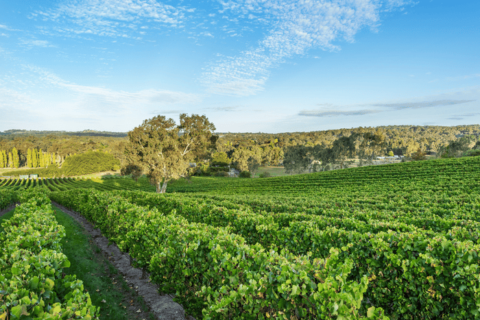 Building a More Efficient Real Estate Photography Workflow