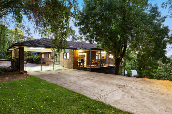 Best Camera Body Options for Professional Real Estate Photography