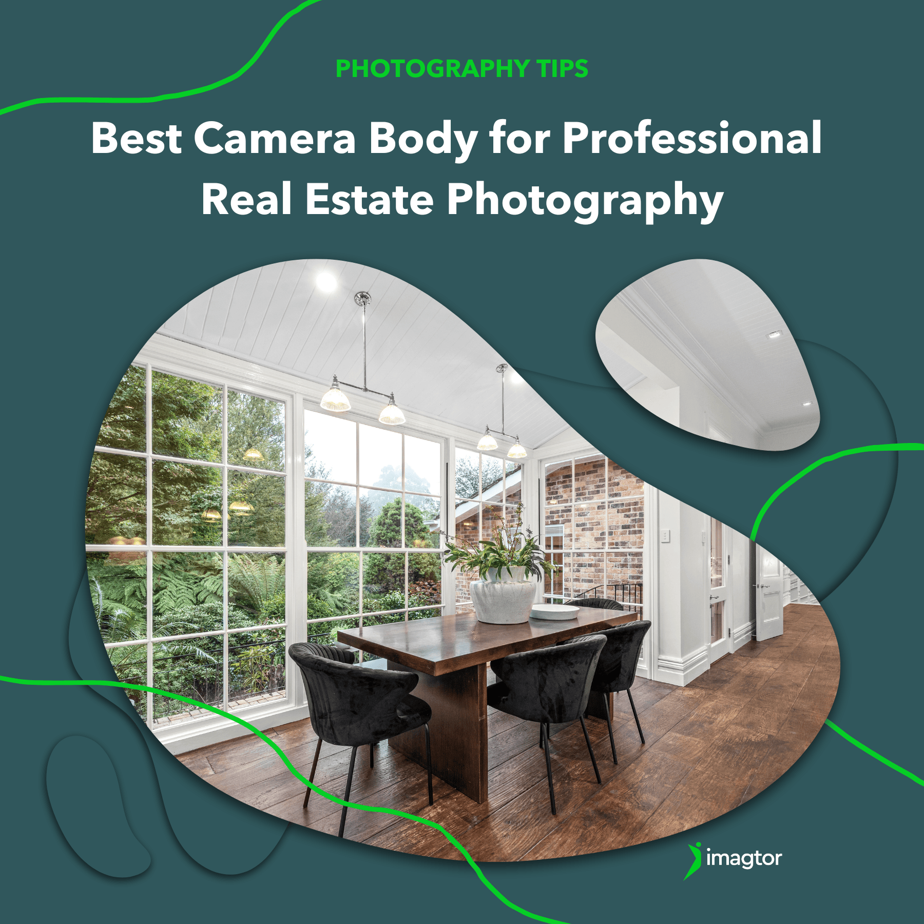 Best Camera Body for Professional Real Estate Photography