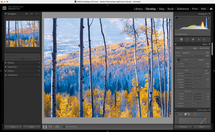 Adobe Lightroom Classic: the most used photo editing software